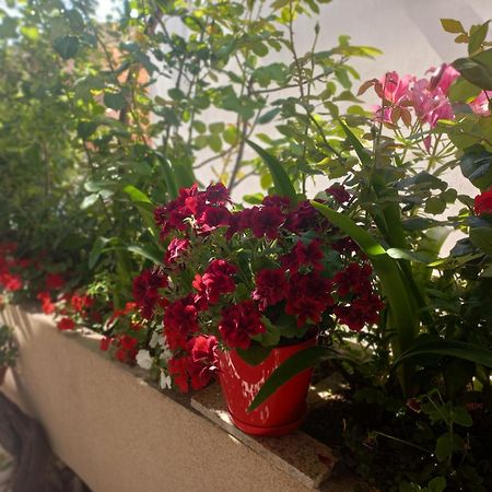 Apartments Gazi Ulcinj Ngoại thất bức ảnh